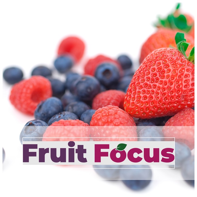 Fruit Focus