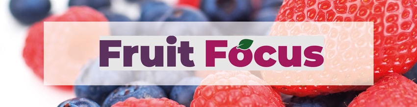 Fruit Focus