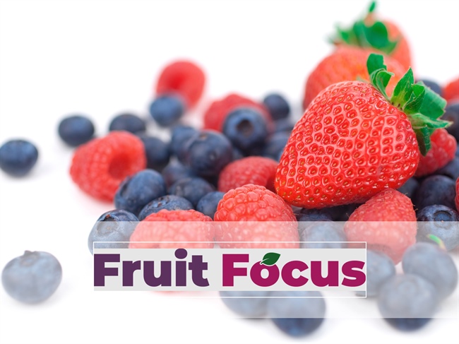 Fruit Focus
