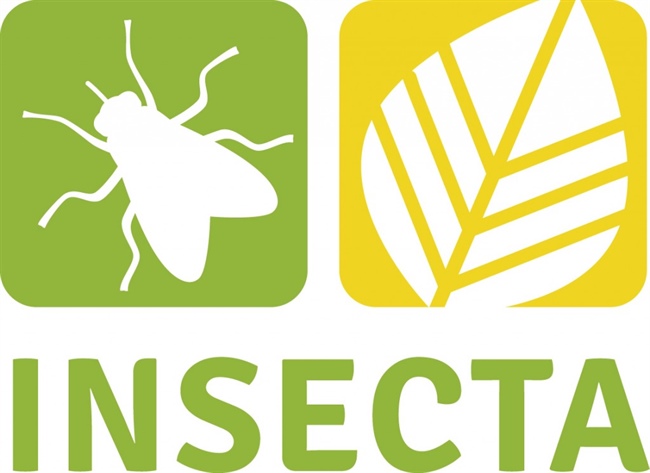 Insecta 2024